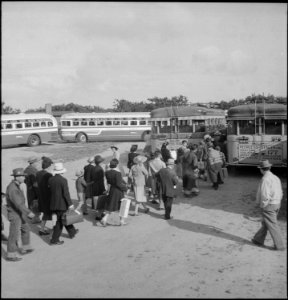 Centerville, California. Members of farm family board evacuation buses. Evacuees of Japanese ances . . . - NARA - 537585 photo