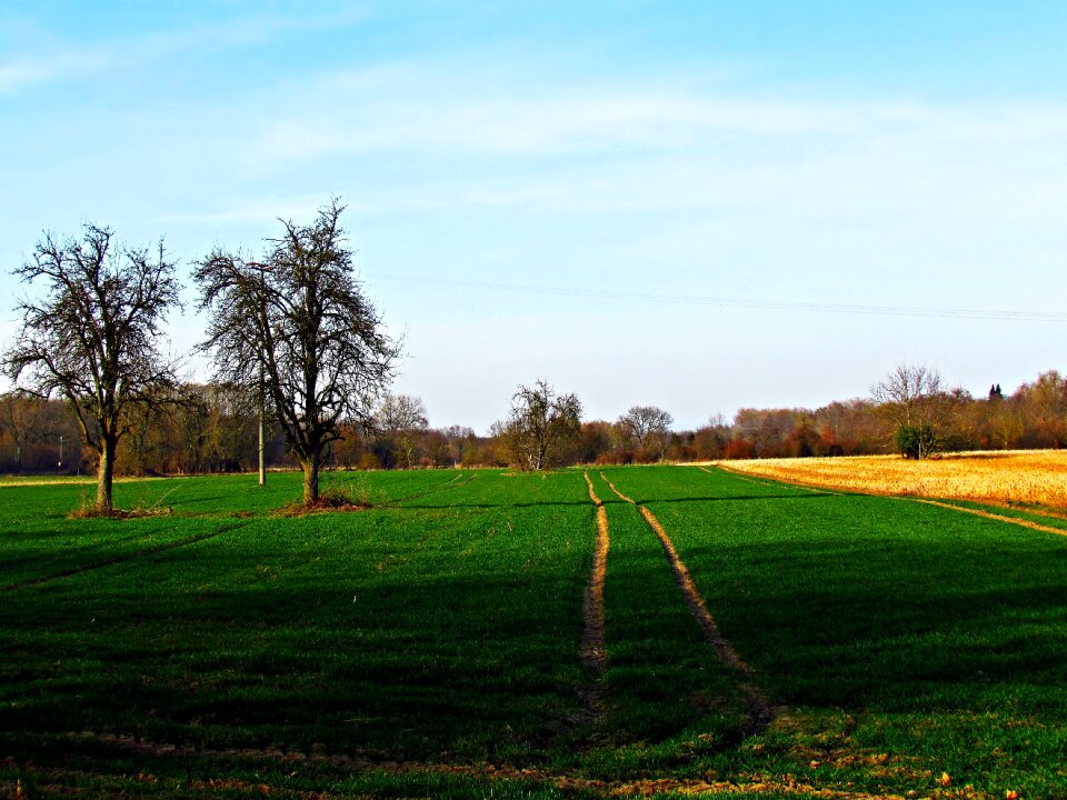 Spring landscape summer photo