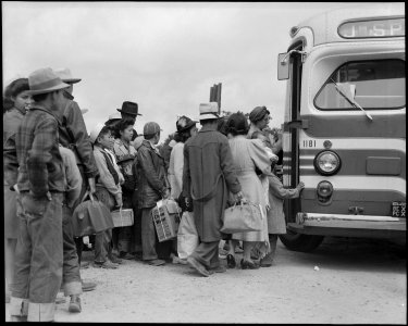 Centerville, California. The bus has just arrived and these farm families of Japanese ancestry are . . . - NARA - 537583 photo