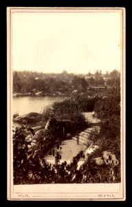 Central Park pond and footpath, New York City, N.Y.) - Stacy 691 B'way LCCN2016653324