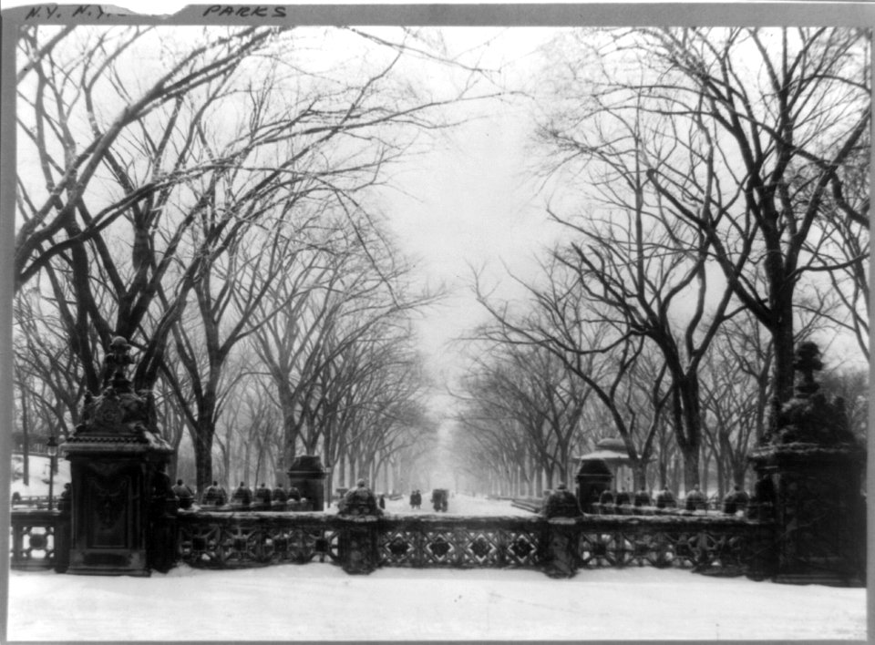 Central Park, New York City LCCN96512474