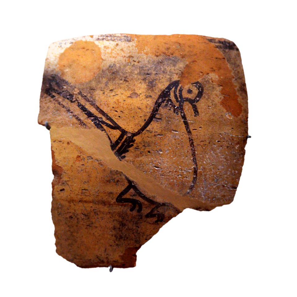 Ceramic fragment-MAHG 027137-IMG 1962-white