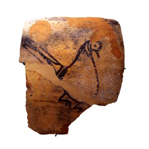 Ceramic fragment-MAHG 027137-IMG 1962-white