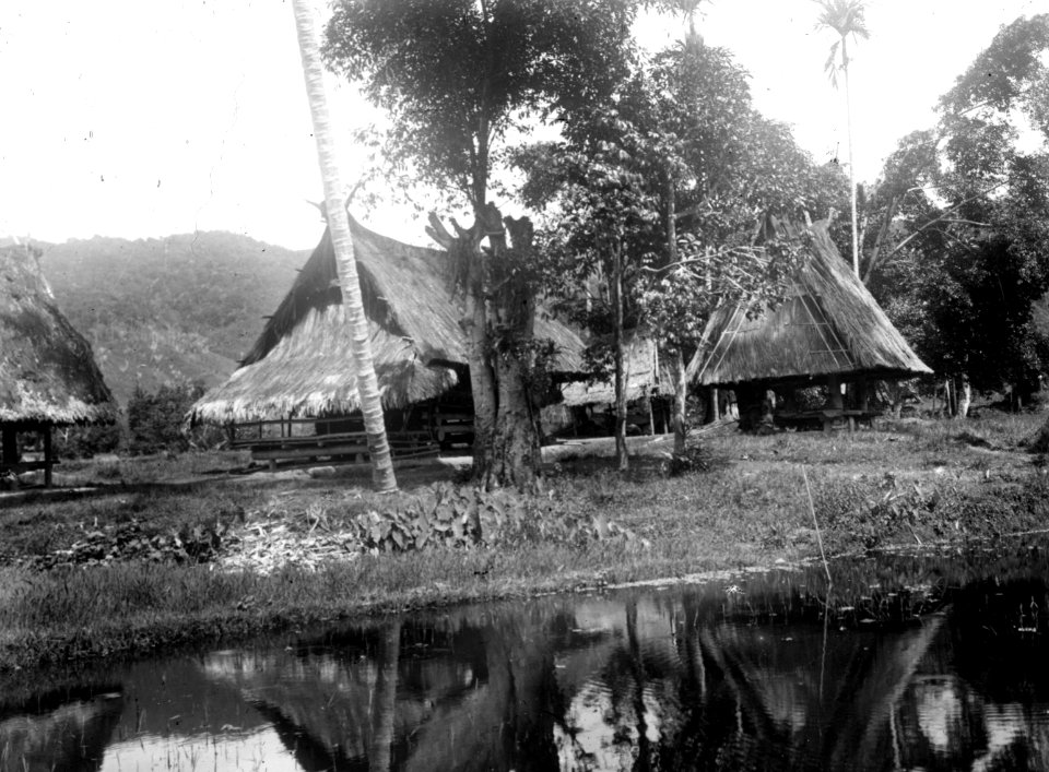 Central-Celebes. Hus vid kanten av sawahn (mal. = risfält) - SMVK - 1712D