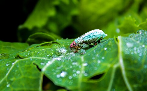 Environment outdoors approach
