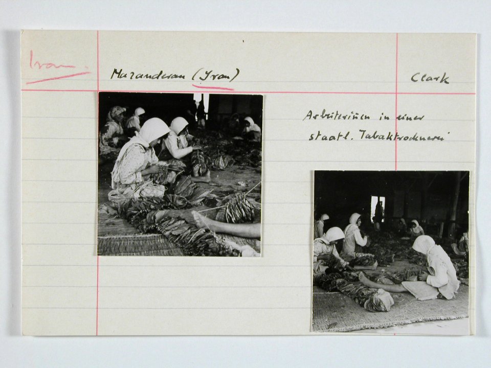 CH-NB - Iran, Mazanderan (Mazandaran)- Tabaktrocknerei - Annemarie Schwarzenbach - SLA-Schwarzenbach-A-5-19-064