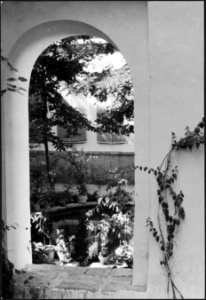 CH-NB - Iran, Teheran (Tehran)- Gärten - Annemarie Schwarzenbach - SLA-Schwarzenbach-A-5-19-018