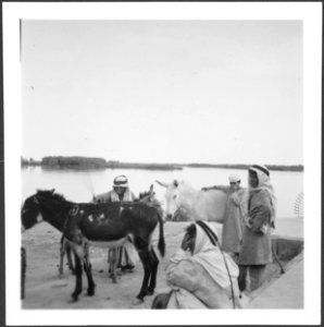 CH-NB - Irak- Alltagsszene - Annemarie Schwarzenbach - SLA-Schwarzenbach-A-5-03-072