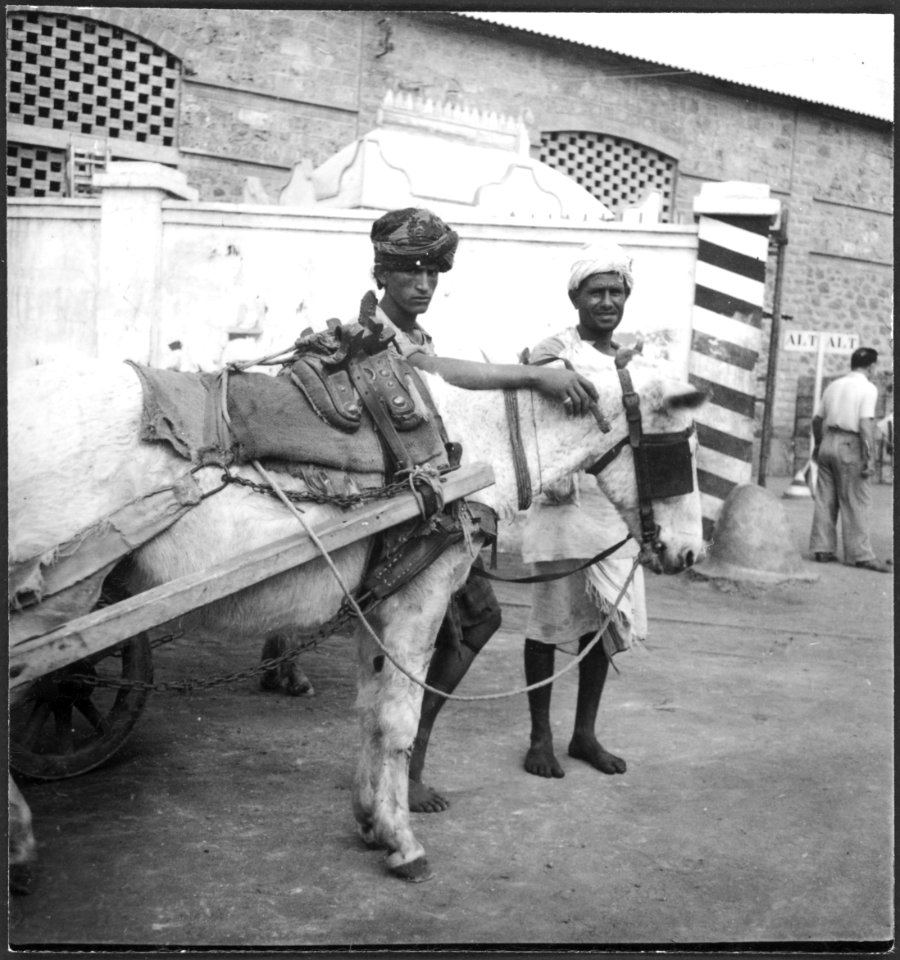 CH-NB - Italienisch-Ostafrika, Massana (Massawa, Massaua)- Hafen - Annemarie Schwarzenbach - SLA-Schwarzenbach-A-5-23-133