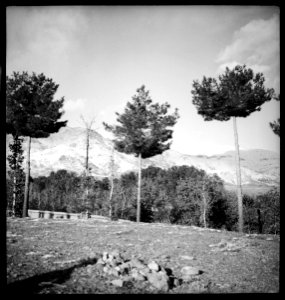 CH-NB - Landschaft (Lokalisierung unsicher) - Annemarie Schwarzenbach - SLA-Schwarzenbach-A-5-06-350