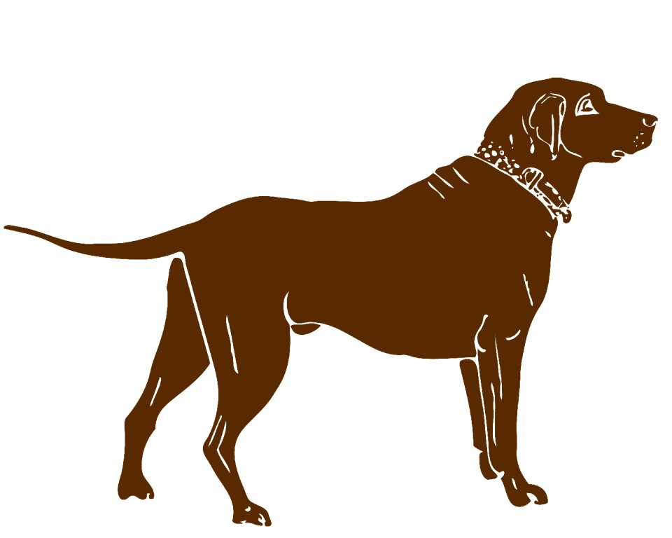 Animal retriever pet