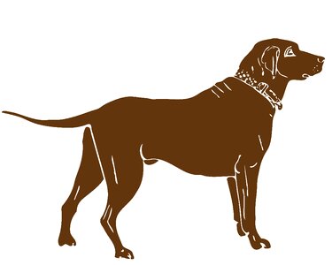 Animal retriever pet