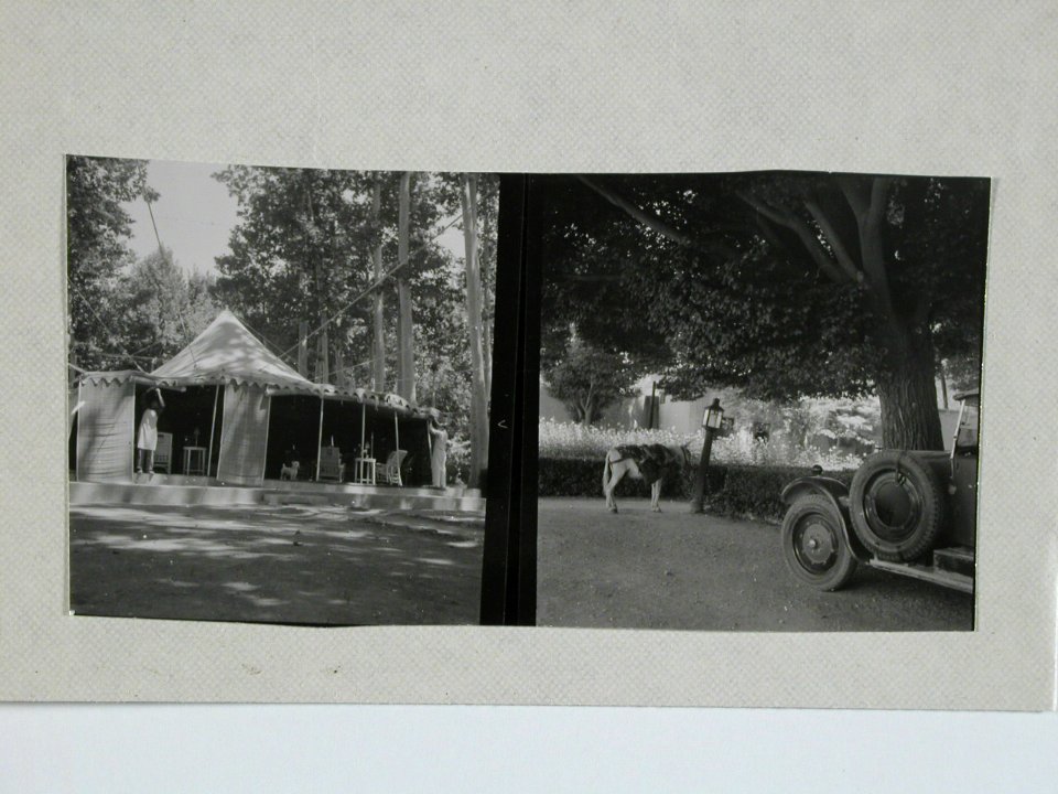 CH-NB - Iran, Teheran (Tehran)- Gärten - Annemarie Schwarzenbach - SLA-Schwarzenbach-A-5-19-035