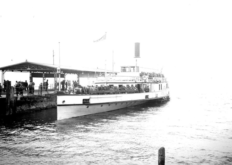 Der Dampfer Winkelried - CH-BAR - 3240393