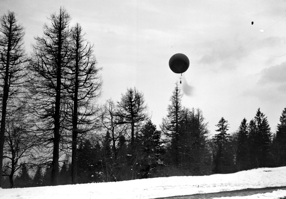 Der Fesselballon über den Bäumen - CH-BAR - 3238376