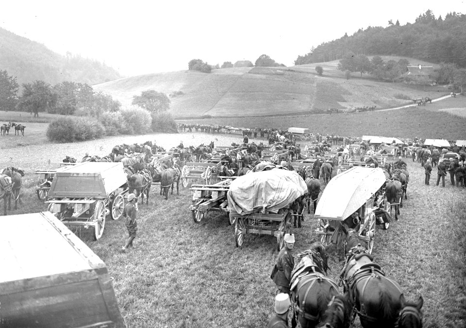 Der Fuhrpark der Pontoniere nach dem Uebersetzen - CH-BAR - 3239935