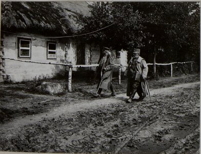 Der deutsche Generalleutnant Karl Litzmann und General der Infanterie Friedrich Csanady von Bekes in Pawlowiczy (BildID 15456437)