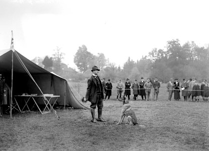 Der Führer bekommt das Käppi von seinem Hund - CH-BAR - 3239189