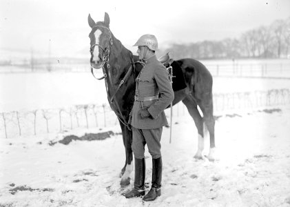 Der neue Stahlhelm von 1917 im Seitenprofil - CH-BAR - 3240239