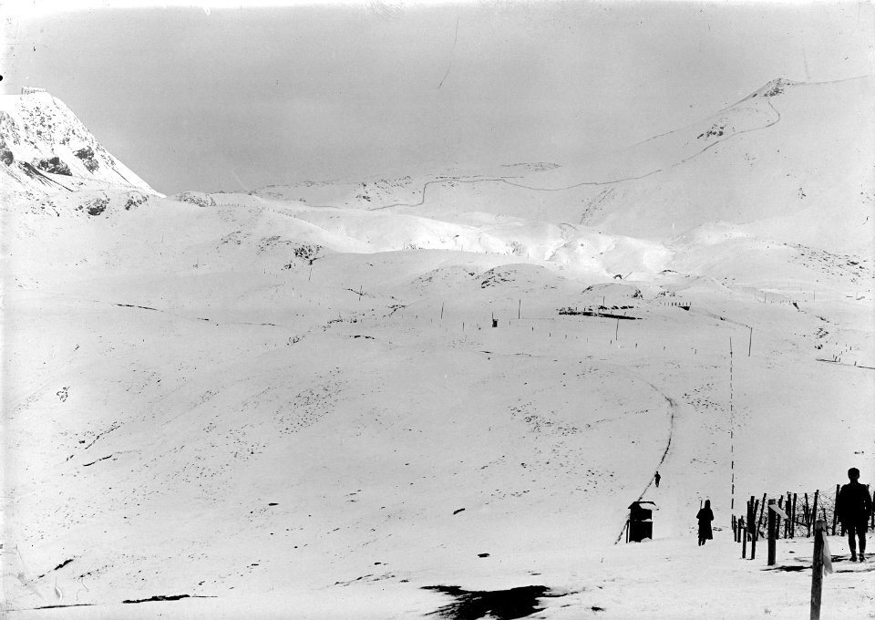 Der Grenzzaun auf dem Umbrail - CH-BAR - 3239156