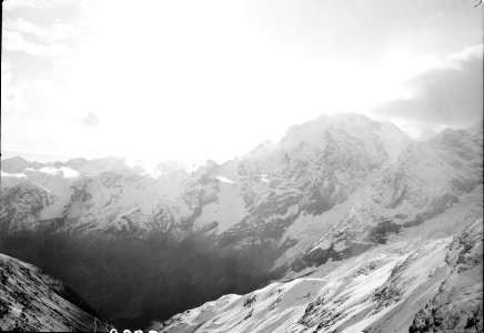 Der Ortler von der Dreisprachenspitze aus - CH-BAR - 3239150