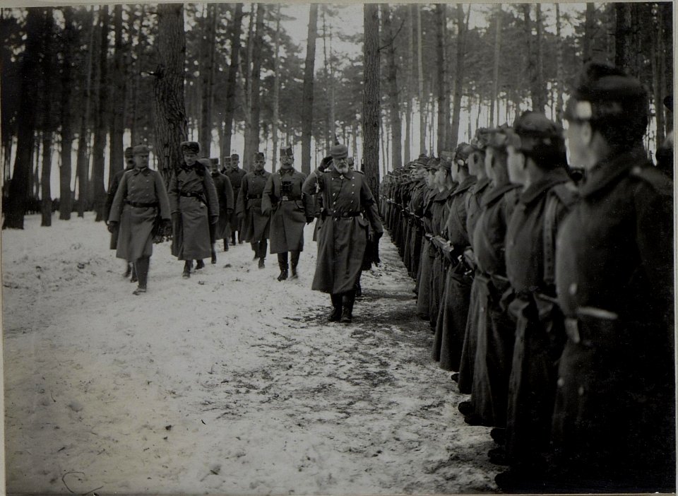 Der Oberkommandierende der deutschen Ostarmee Generalfeldmarschall Prinz Leopold von Bayern insoziert die Wiener Truppen der 25 Infanteriedivision (BildID 15444966)