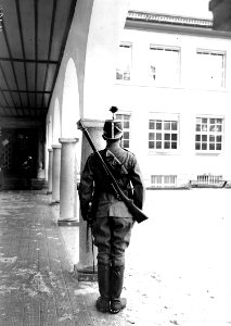 Der Dragoner mit persönlicher Ausrüstung von hinten - CH-BAR - 3240171