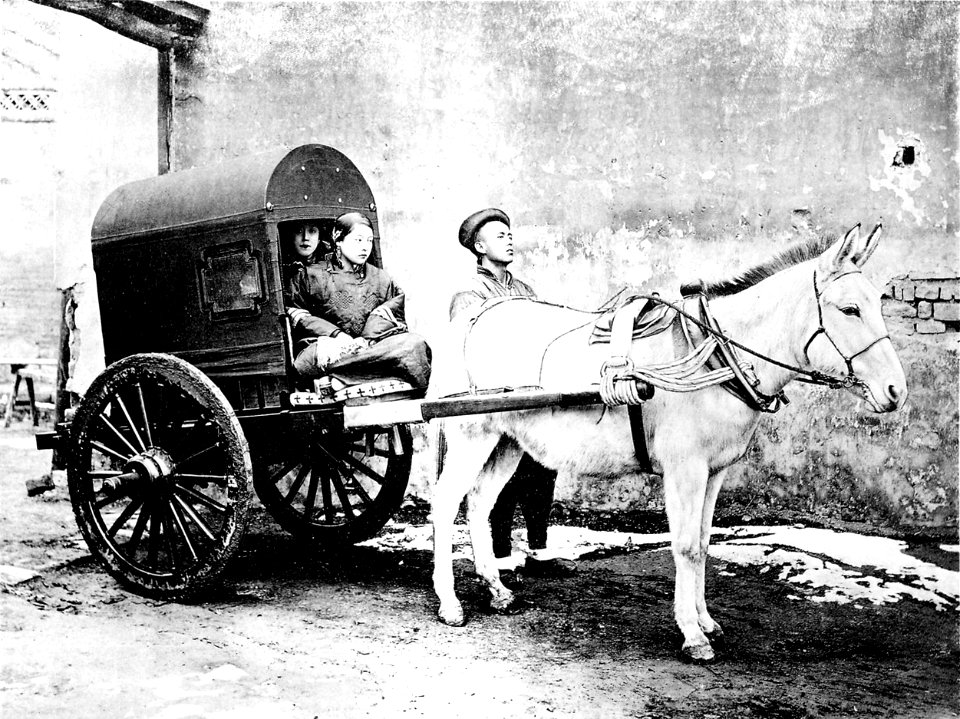Der Peking-Karren