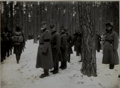 Der Oberkommandierende der deutschen Ostarmee Generalfeldmarschall Prinz Leopold von Bayern insoziert die Wiener Truppen der 25 Infanteriedivision (BildID 15446236)
