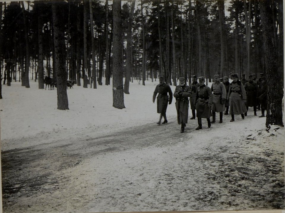 Der Oberkommandierende der deutschen Ostarmee Generalfeldmarschall Prinz Leopold von Bayern insoziert die Wiener Truppen der 25 Infanteriedivision (BildID 15446264)