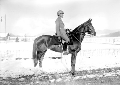 Der neue Stahlhelm von 1917 von einem Reiter getragen - CH-BAR - 3240240