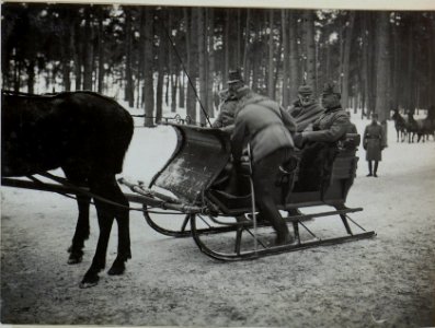 Der Oberkommandierende der deutschen Ostarmee Generalfeldmarschall Prinz Leopold von Bayern insoziert die Wiener Truppen der 25 Infanteriedivision (BildID 15444959)