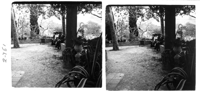 Des de dins del jardí de la torre Pallaresa