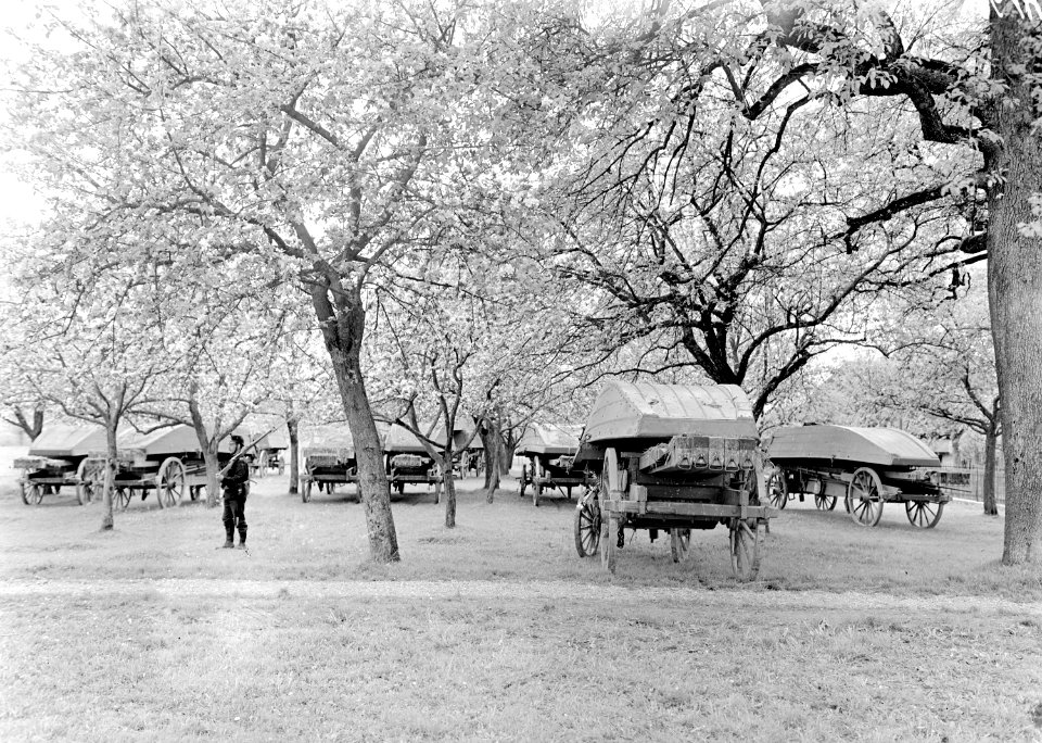 Der Pontonpark unter den Obstbäumen - CH-BAR - 3239610