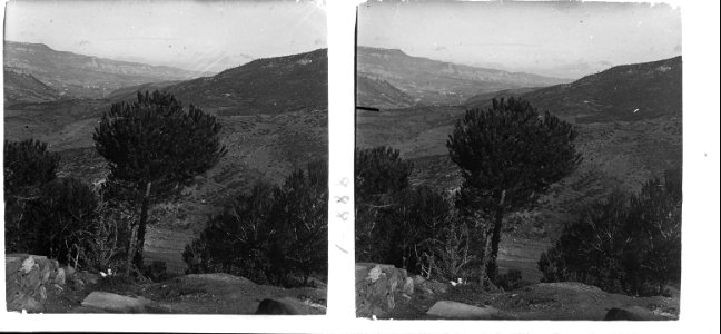 Des de la font Amargosa de Tagamanent