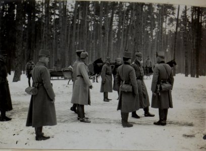 Der Oberkommandierende der deutschen Ostarmee Generalfeldmarschall Prinz Leopold von Bayern insoziert die Wiener Truppen der 25 Infanteriedivision (BildID 15446243)