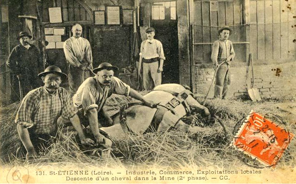 Descente d'un cheval dans la mine (2)