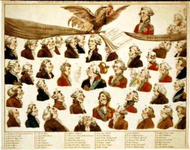 Desespoir des ennemis de la France a la decouverte de leurs complots LCCN2013646663