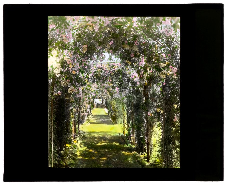 Dr. Peter Brown Wyckoff house, Gin Lane, Southampton, New York. Arbor pathway LCCN2008675756