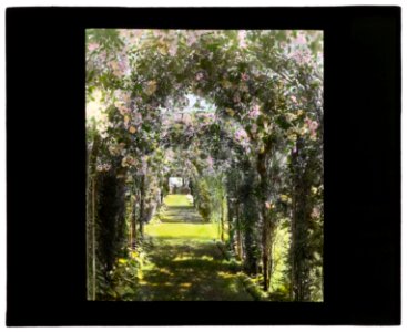 Dr. Peter Brown Wyckoff house, Gin Lane, Southampton, New York. Arbor pathway LCCN2008675756
