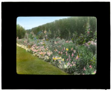 Dr. Peter Brown Wyckoff house, Gin Lane, Southampton, New York. Flower border LCCN2008675793