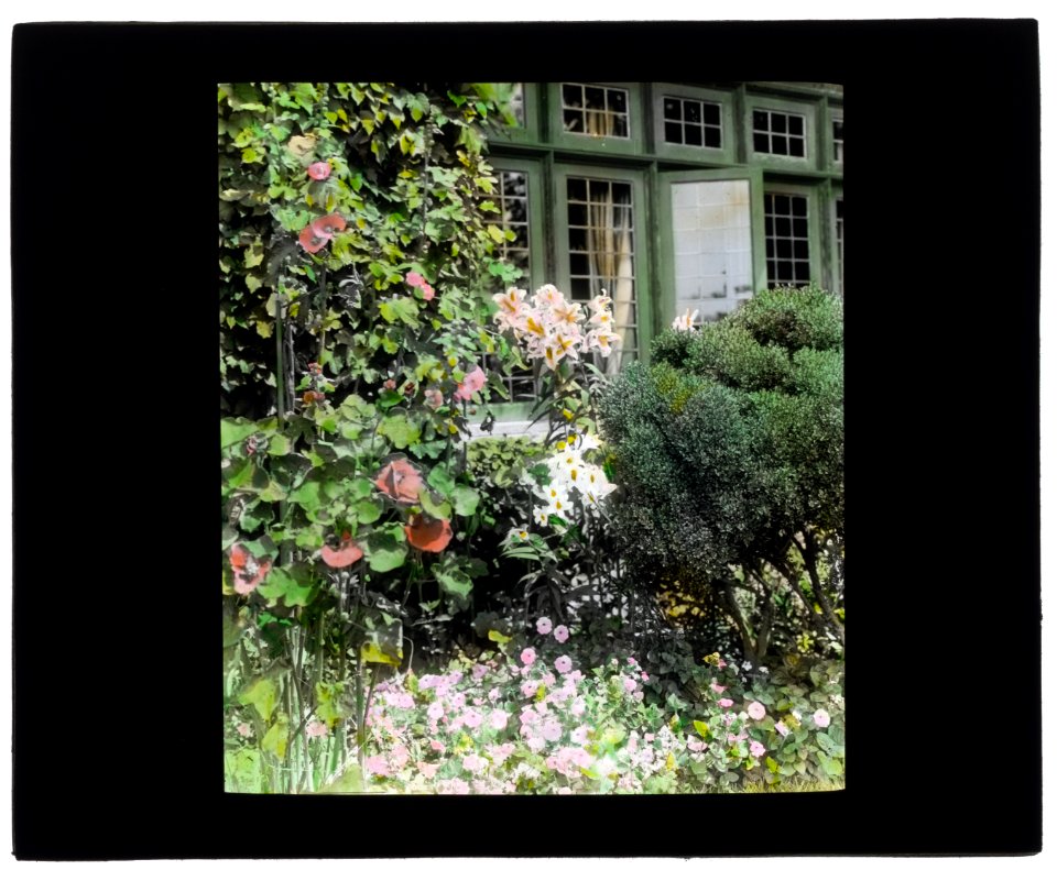 Dr. Peter Brown Wyckoff house, Gin Lane, Southampton, New York. Flower border LCCN2008675761