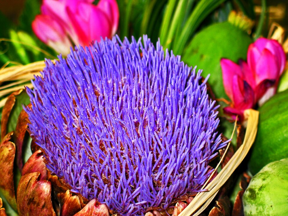 Market green blossom