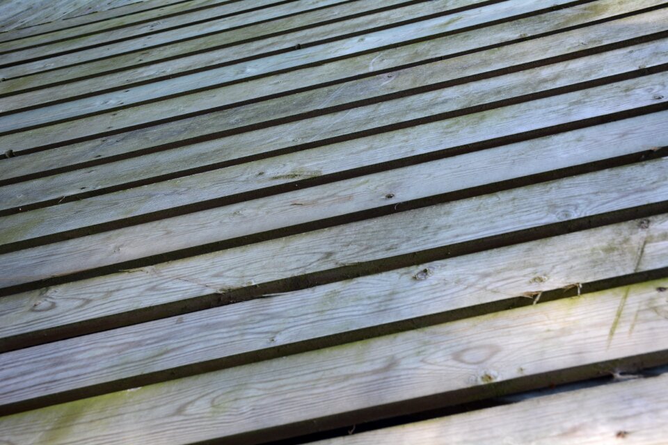Wood autumn background