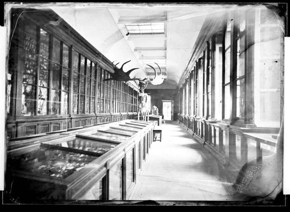 Galerie des cavernes