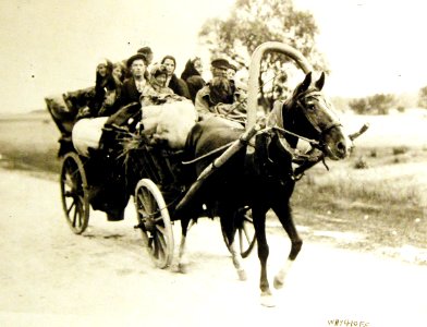 Galician Jews fleeing Galicia to Russia on approach of Germans, 1915 (29547413183)