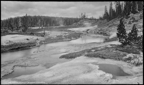 General view in the Shoshone Geyser basin. Yellowstone National Park. - NARA - 517230