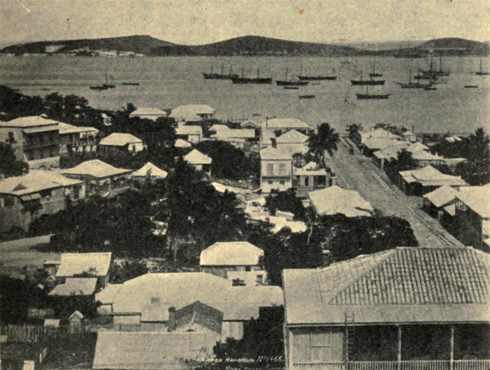 General View of Nouméa, by Peace