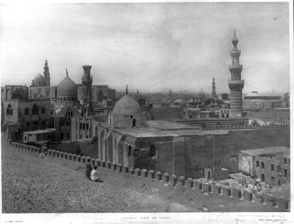 General view of Cairo, (Egypt) LCCN2005689041