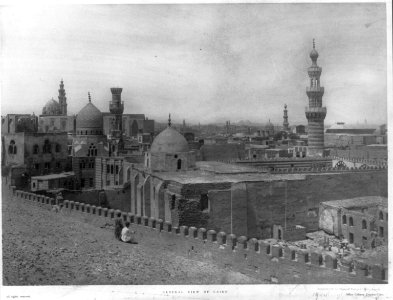 General view of Cairo, (Egypt) LCCN2005689041